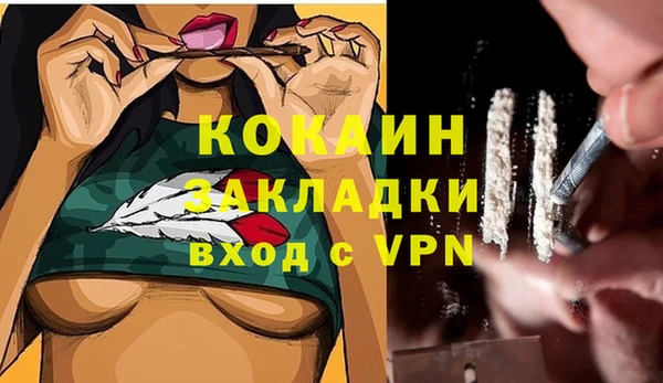 сатива Алексин