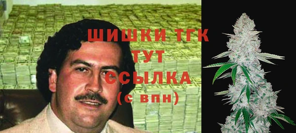 сатива Алексин